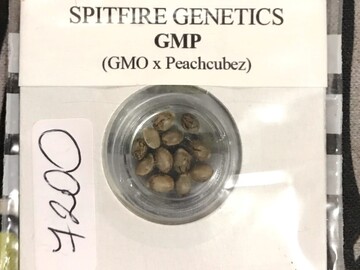 Sell: Spitfire Genetics: Garlic Mushrooms & Peach aka GM Peachez
