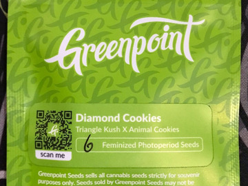 Sell: Greenpoint: Diamond Cookies (Triangle Kush x Animal Cookies) Fems