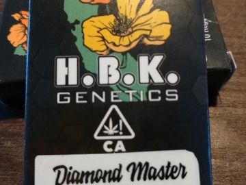 Sell: HBK genetics Diamond Master and Pegasus