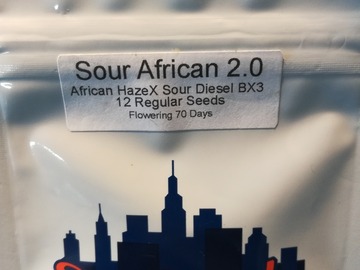 Sell: Topdawg Sour African....