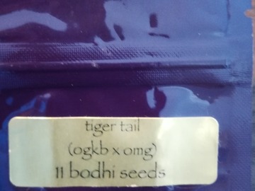 Sell: Bodhi Tiger Tail