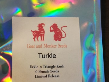 Sell: 50% off .........Turkle ..... Goat and Monkey seeds (RIP)