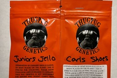 Venta: Thug Pug Genetics - Double Pack