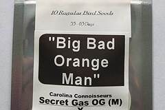 Venta: Big Bad Orange Man ~ Funk Mountain x X Secret Gas OG 10 Regs
