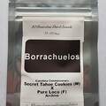 Venta: Borrachuelos ~ Pure Loco X Secret Tahoe Cookies