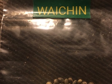 Sell: Trident seeds/landrace mafia waichin valley (general population)