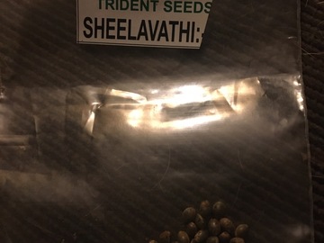 Sell: Trident seeds/landrace mafia sheelavathi