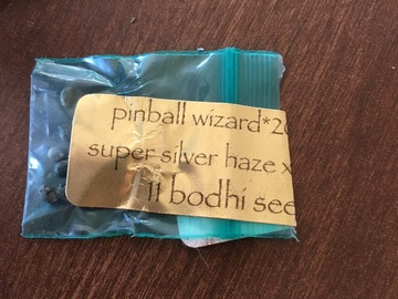 Vente: Bodhi seeds pinball wizard