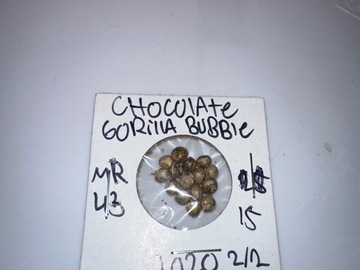 Sell: Chocolate Gorilla Bubble