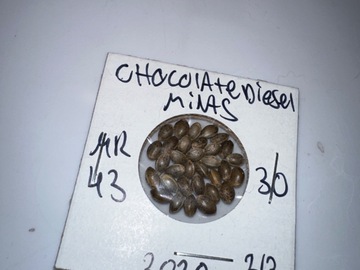 Sell: Chocolate Diesel Mints