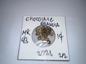 Sell: Chocolate Granola