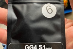 Vente: GG4 strains-GG4 s1