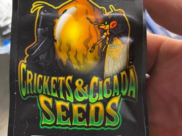 Sell: Crickets and Cicada-Puck Hashplant BC3