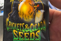 Vente: Crickets and Cicada-Puck Hashplant BC3