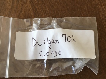 Vente: Durban poison 1970s x Congo