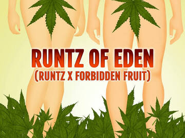 Sell: Runtz Of Eden {Elev8 Seeds}