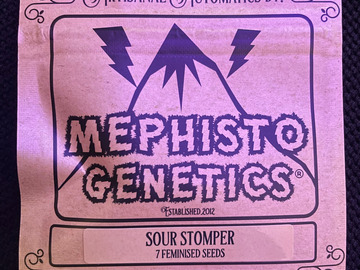 Sell: Mephisto Genetics Sour Stomper 10 PACK