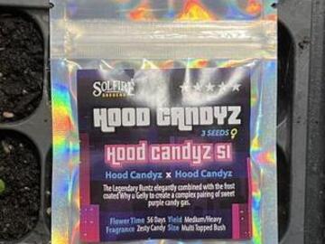 Auction: (AUCTION) Hood Candyz S1 from Solfire