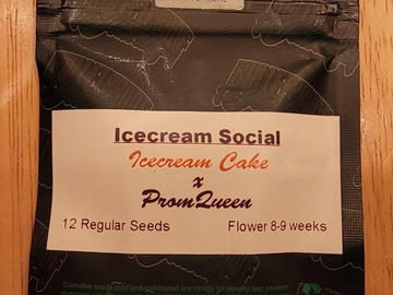 Sell: Ice Cream Social-Bulletproof Genetics