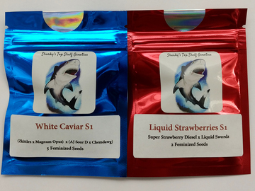 Auction: (AUCTION) White Caviar + Liquid Strawberries (Feminized)
