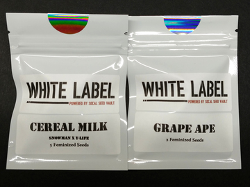 Auction: (AUCTION) Cereal Milk S1 (Fems) + Grape Ape S1 (Fems)