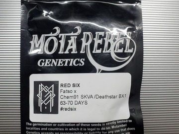 Vente: Red Six [Fatso x Chem91/DeathstarBX] *Mota Rebel Genetics