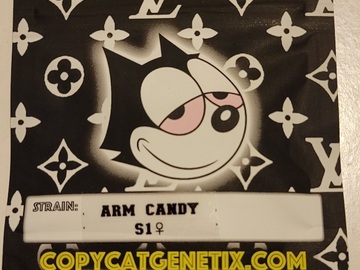 Sell: Arm Candy S1 Copycat Genetix ORIGINAL FEMS
