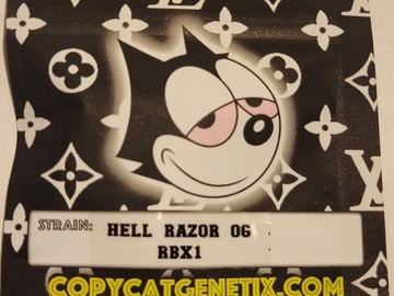 Sell: Hell Razor OG RBX1 Copycat Genetix ORIGINAL FEMS