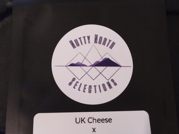 Sell: (UK Cheese x Purple Urkle Bc1 # 11) *420 Sale*