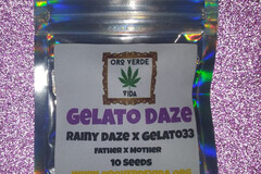 Venta: Gelato Daze - (Rainy Daze x Gelato 33) 10 seeds