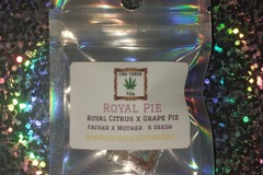 Vente: Royal Pie - (Royal Citrus x Grape Pie) 6 seeds
