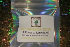 Venta: OG Banana King - (4 Kings x Banana OG) 6 seeds