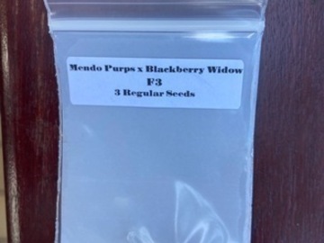 Enchères: (AUCTION) Mendo Purps x Blackberry Widow F3 from CSI Humboldt