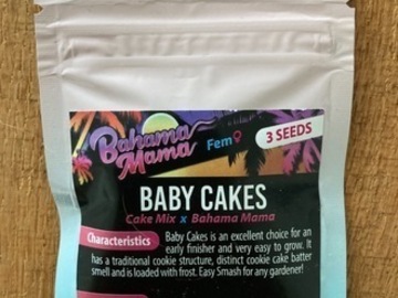 Enchères: (AUCTION) Baby Cakes from Solfire