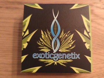 Sell: Exotic Genetix - Slapz - Runtz x Grease Monkey