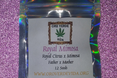 Venta: Royal Mimosa - (Royal Citrus x Mimosa)