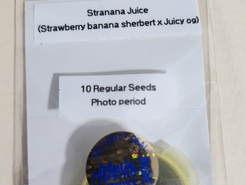 Sell: Strawnana Juice ~ Strawberry Banana Sherbert X Juicy OG  Adhesive