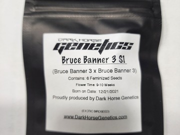 Sell: Bruce Banner 3 S1 Fems Dark Horse Genetics