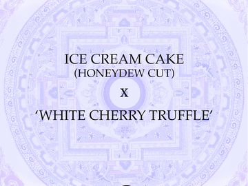 Ice Cream Cake x White Cherry Truffle
