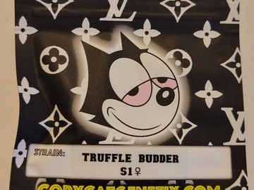 Truffle Budder S1 Copycat Genetix 10 Pack FEMS
