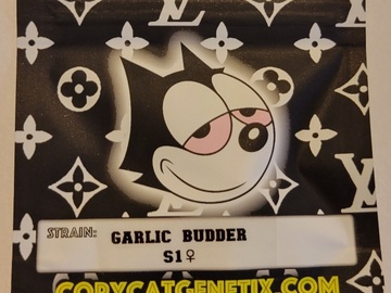 Garlic Budder S1 Copycat Genetix 10 Pack FEMS