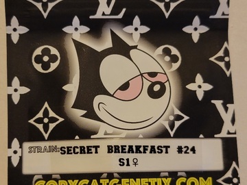 Secret Breakfast #24 S1 Copycat Genetix FEMS