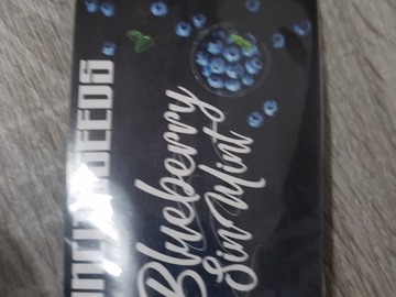 Sell: Blueberry sin mint brand new sealed 15 regular seed