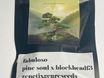 Sell: Zenetix Fabuloso pine soul x blockhead