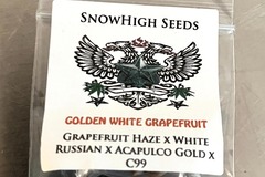 Vente: SALE! Golden White Grapefruit - Snow High + Freebies + $0 Ship
