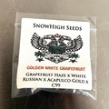 Vente: SALE! Golden White Grapefruit - Snow High + Freebies + $0 Ship