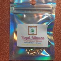 Vente: Royal Mimosa - (Royal Citrus x Mimosa) 6 seeds