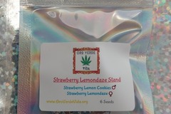 Vente: Strawberry Lemondaze Stand - 6 seeds
