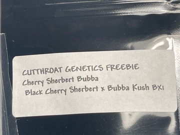 Sell: Cutthroat cherry sherbet bubba
