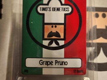 Sell: Tino's Genetics Grape Pruno